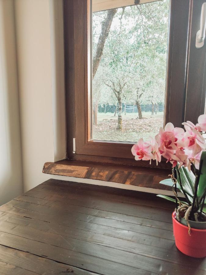Casale Dei Ricordi Bed and Breakfast Arce Εξωτερικό φωτογραφία