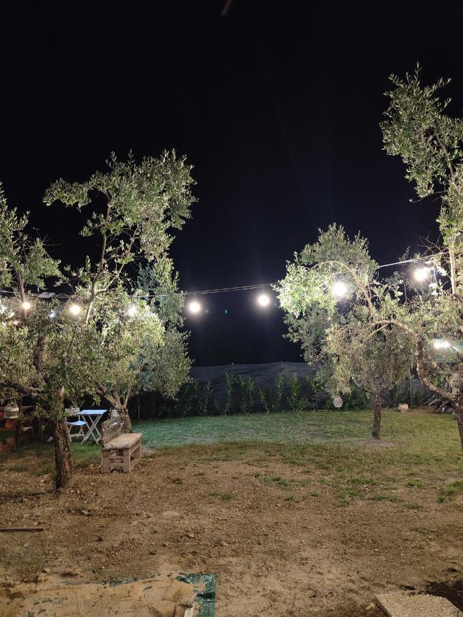 Casale Dei Ricordi Bed and Breakfast Arce Εξωτερικό φωτογραφία