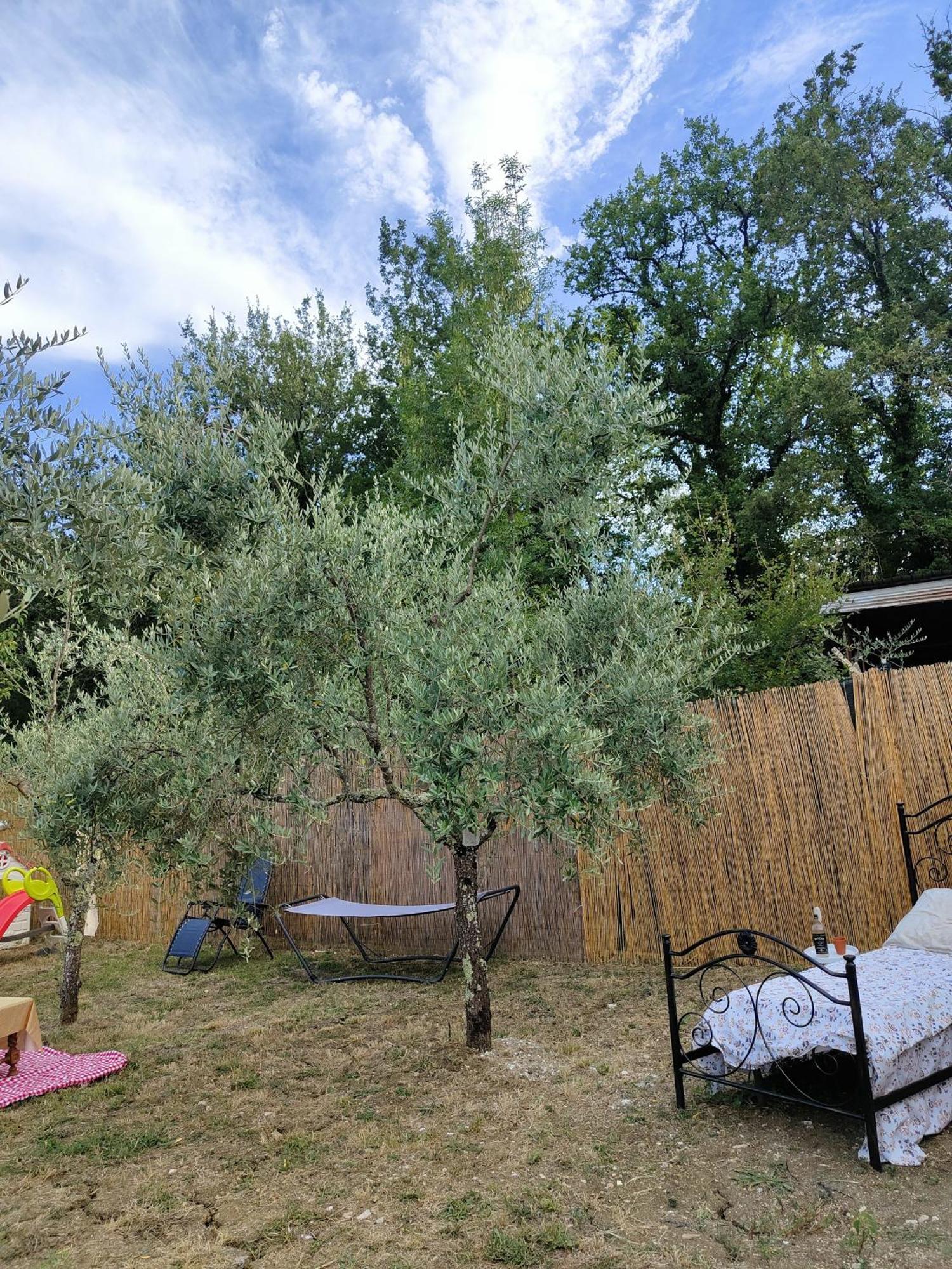 Casale Dei Ricordi Bed and Breakfast Arce Εξωτερικό φωτογραφία